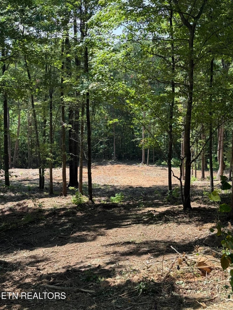 Lot 150 Mountaineer Tr, Sevierville, TN 37862