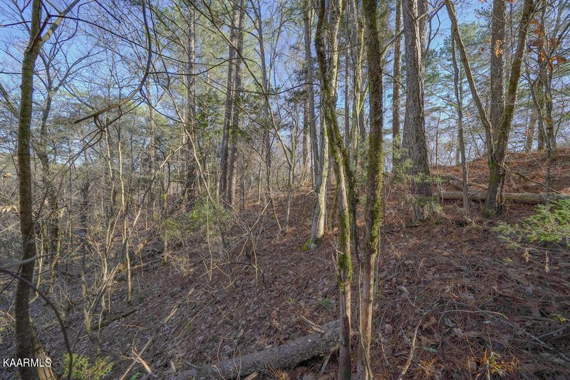 Lot 151 S New Era Rd, Sevierville, TN 37876