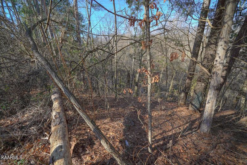 Lot 151 S New Era Rd, Sevierville, TN 37876