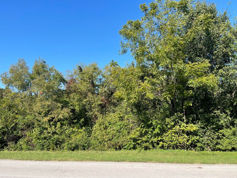 Lot 152 Cherokee Dr, Vonore, TN 37885