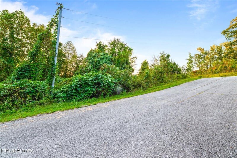 lot 153 Bridle Way, Speedwell, TN 37870