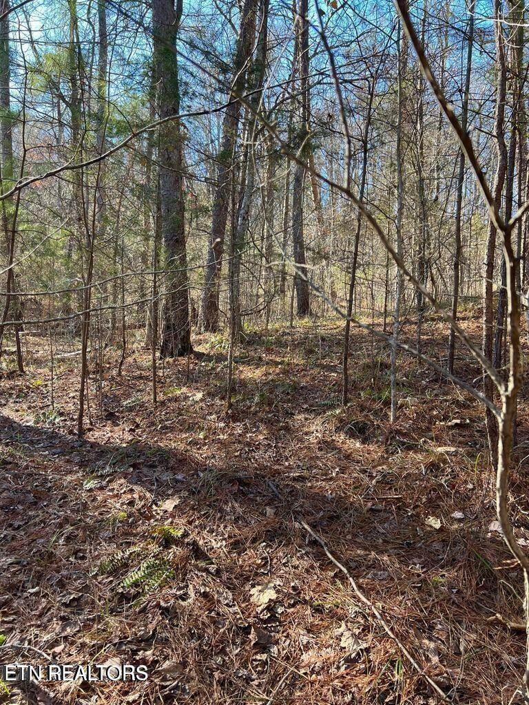 Lot 157 Laurel Lake Cir, Madisonville, TN 37354