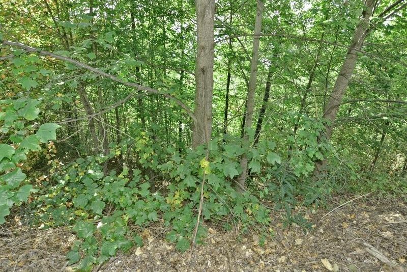 Lot 158-E Harmony Hill Ln, Sevierville, TN 37862