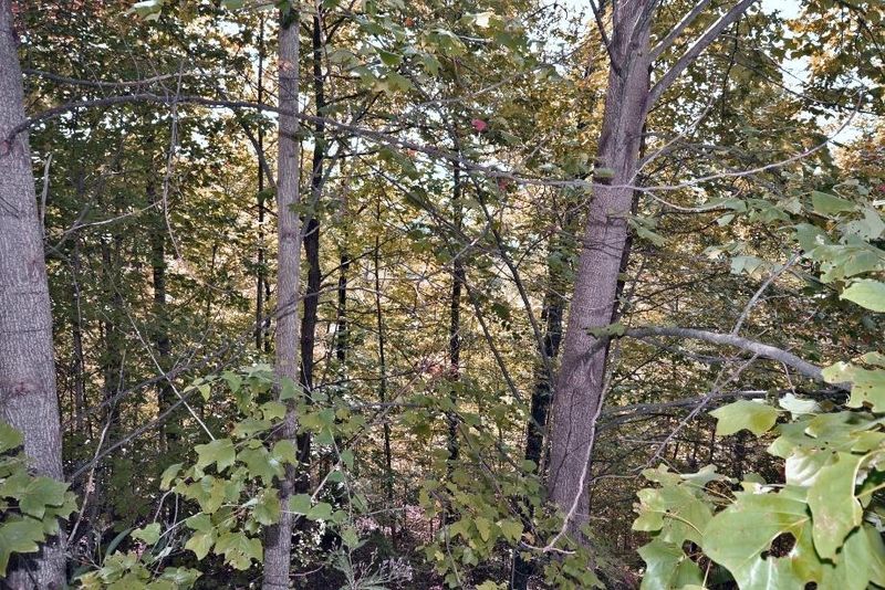 Lot 158-E Harmony Hill Ln, Sevierville, TN 37862