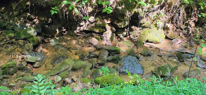 Lot 16 Black Walnut Flats Rd, Sevierville, TN 37862