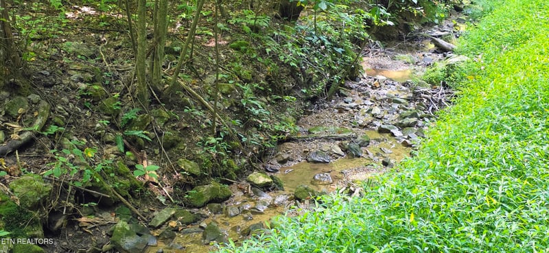 Lot 16 Black Walnut Flats Rd, Sevierville, TN 37862