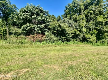 Lot 16 Bridgewater Blvd, Morristown, TN 37814