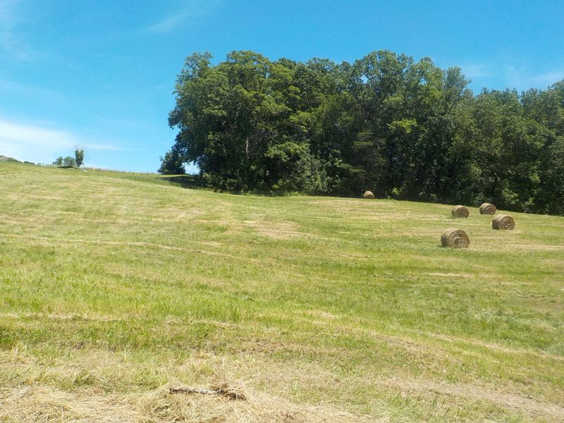 Lot 16 Brown Rd, Blaine, TN 37709