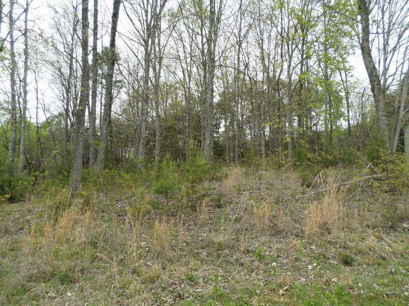 Lot 16 Catherine Crisp Way, Kodak, TN 37764