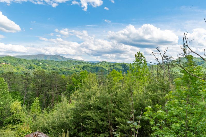 lot 16 Delta Dawn Dr, Sevierville, TN 37862