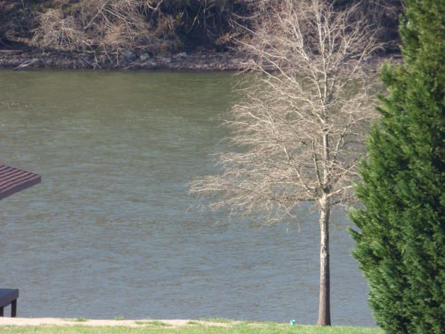 Lot 16 Rivers Edge Dr, Loudon, TN 37774