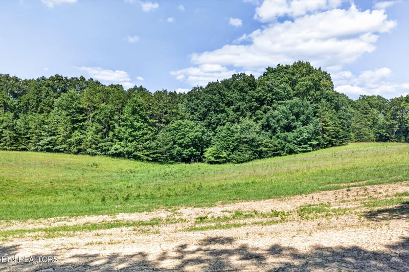 Lot 16 Smith Mountain Rd, Rockwood, TN 37854