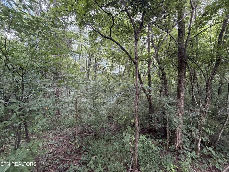 Lot 16 Sunrise Blvd, Kodak, TN 37764