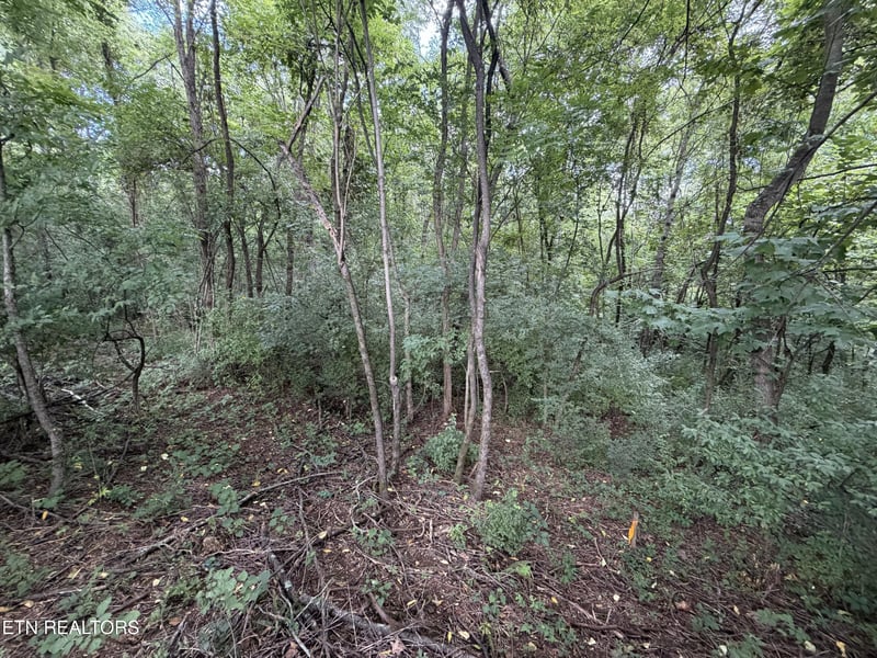 Lot 16 Sunrise Blvd, Kodak, TN 37764