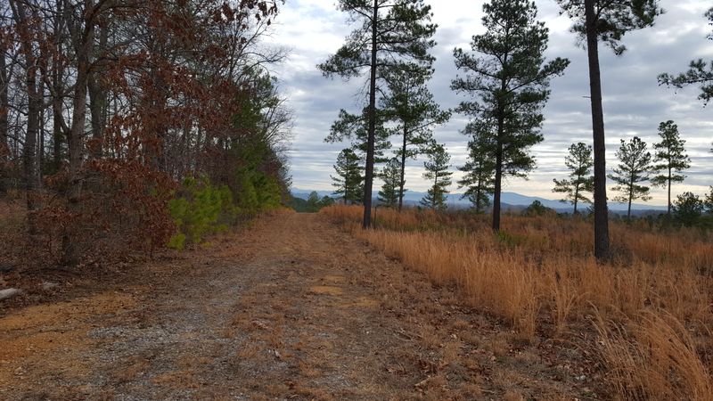 Lot 16 Ward Rd, Loudon, TN 37774