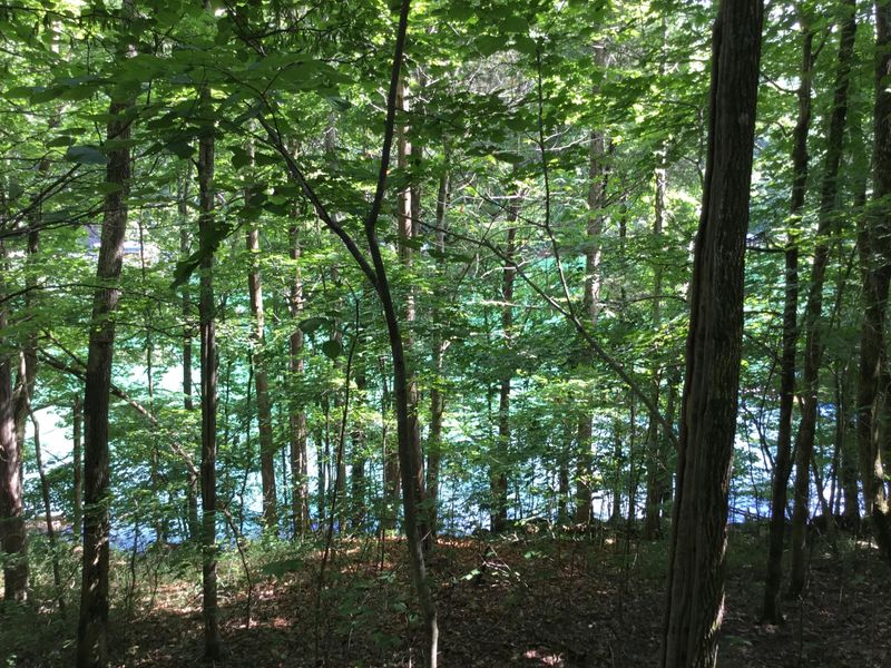 Lot 16 Windsor Ln, Jacksboro, TN 37757