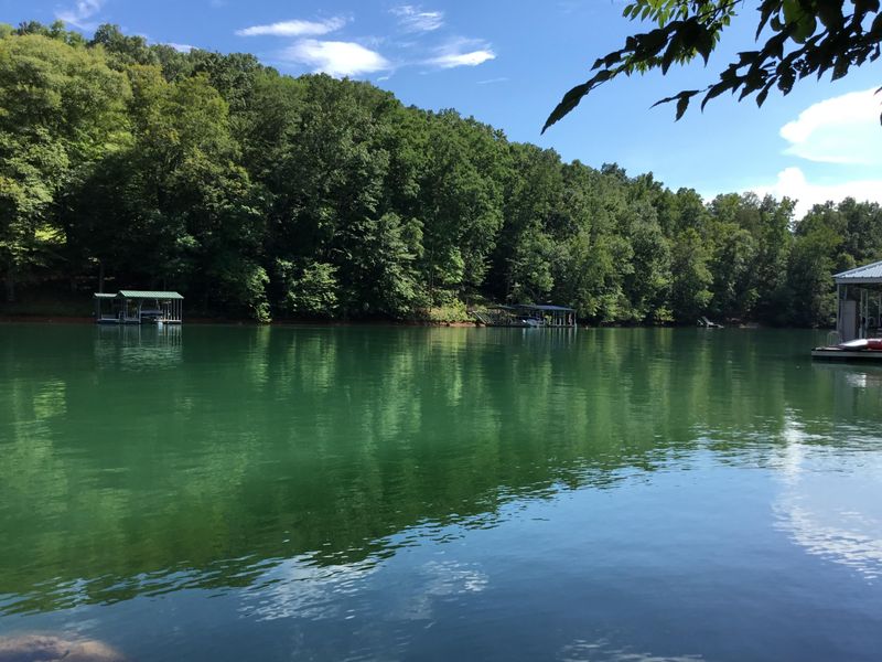 Lot 16 Windsor Ln, Jacksboro, TN 37757