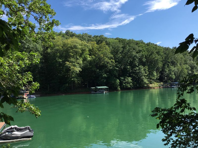 Lot 16 Windsor Ln, Jacksboro, TN 37757