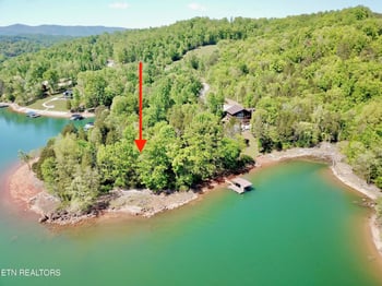 Lot 164 Bridle Way, Speedwell, TN 37870
