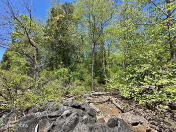 Lot 164 Bridle Way, Speedwell, TN 37870