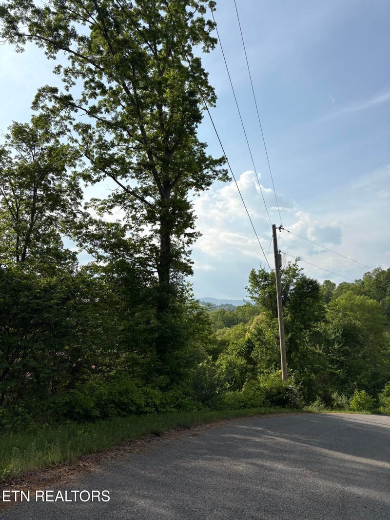 lot 168 Saddleridge Dr, Speedwell, TN 37870
