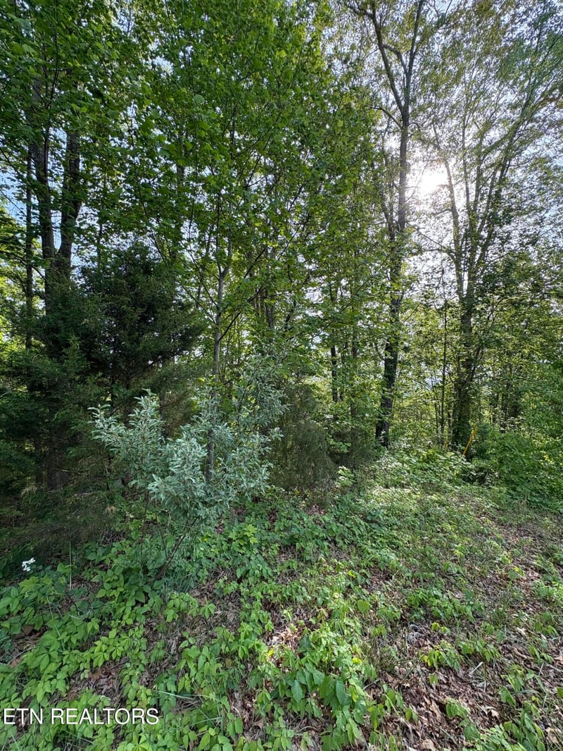 lot 169 Saddleridge Dr, Speedwell, TN 37870