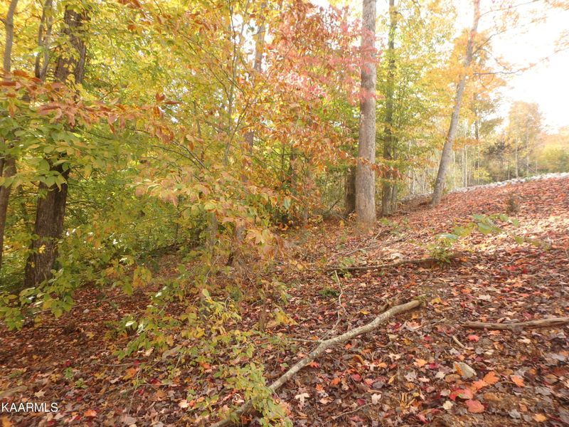 lot 169 Waterside Dr, Lafollette, TN 37766