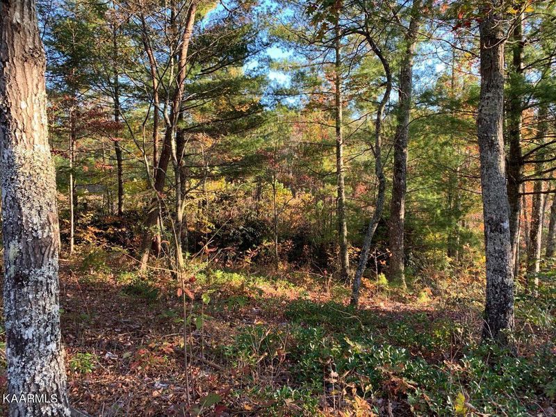 Lot 17-18w Hawken Dr, Walland, TN 37886
