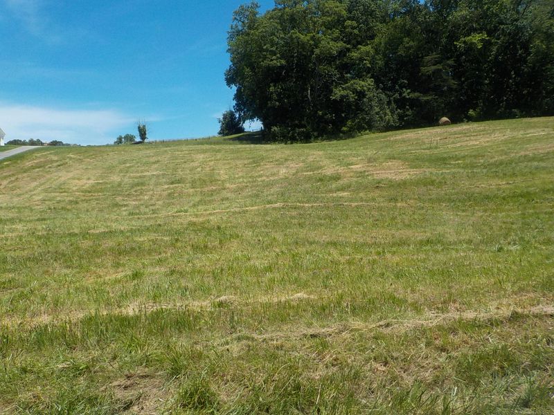 Lot 17 Brown Rd, Blaine, TN 37709