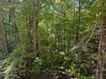 Lot 17 Deer Path Ln, Gatlinburg, TN 37738