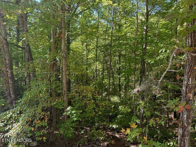 Lot 17 Deer Path Ln, Gatlinburg, TN 37738