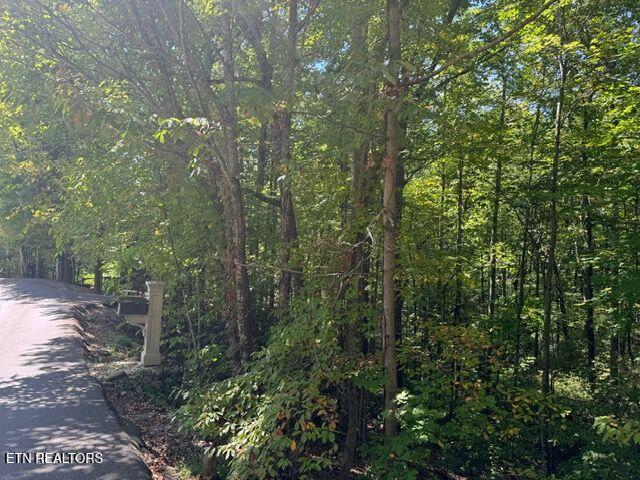 Lot 17 Deer Path Ln, Gatlinburg, TN 37738