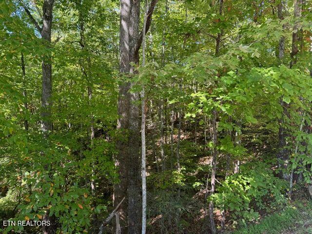 Lot 17 Deer Path Ln, Gatlinburg, TN 37738