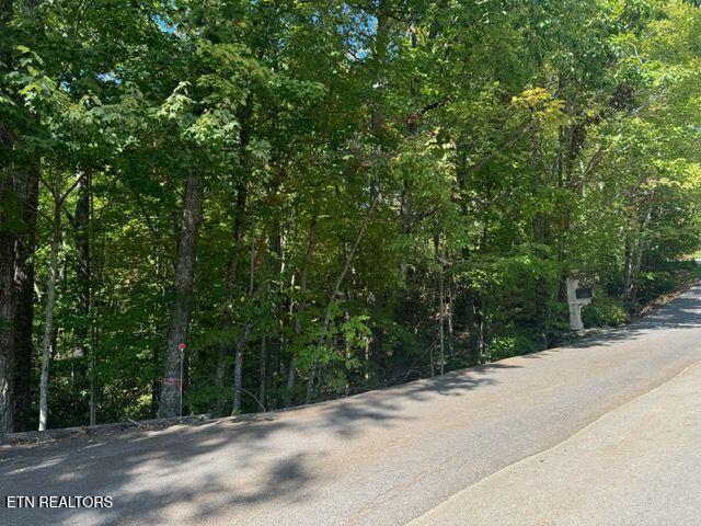 Lot 17 Deer Path Ln, Gatlinburg, TN 37738