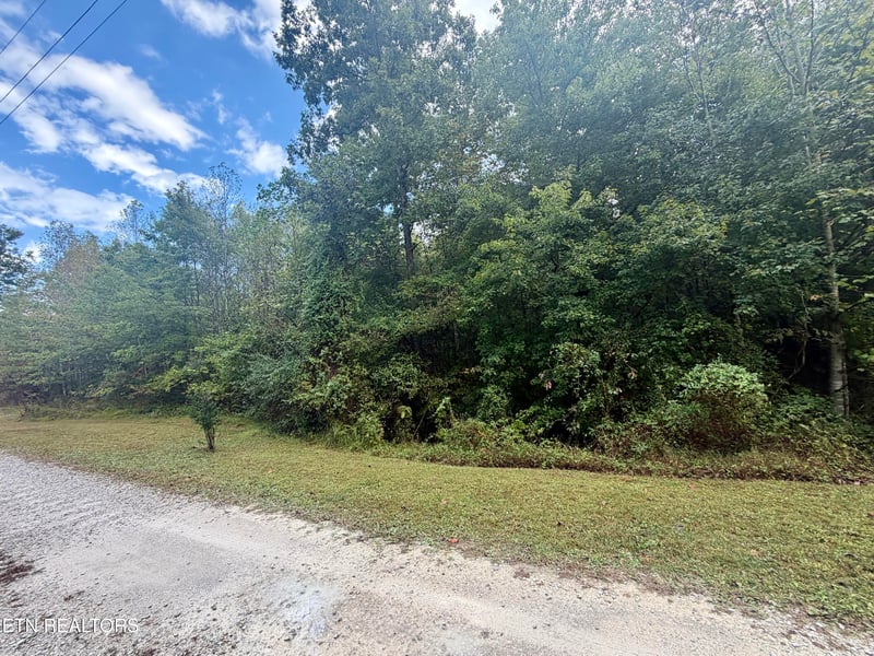 Lot 17 Hardin Dr #17, Robbins, TN 37852