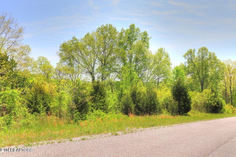 Lot 17 Saddleridge Dr, Speedwell, TN 37870