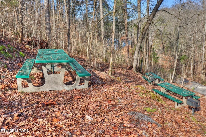 Lot 17 Saddleridge Dr, Speedwell, TN 37870