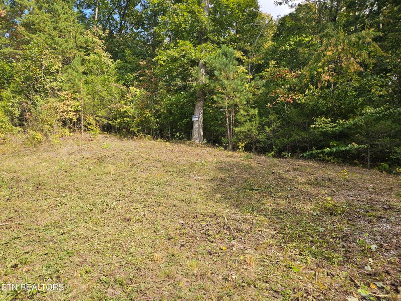 Lot 17 Saddleridge Dr, Speedwell, TN 37870