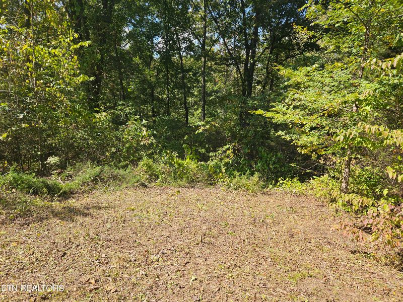 Lot 17 Saddleridge Dr, Speedwell, TN 37870