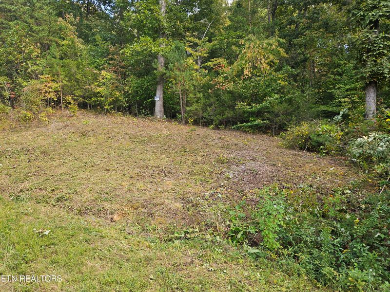 Lot 17 Saddleridge Dr, Speedwell, TN 37870