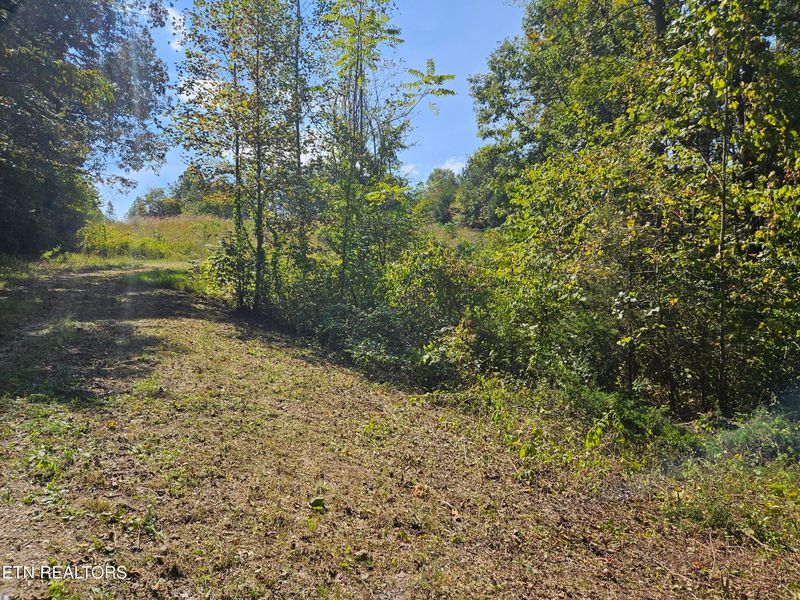 Lot 17 Saddleridge Dr, Speedwell, TN 37870