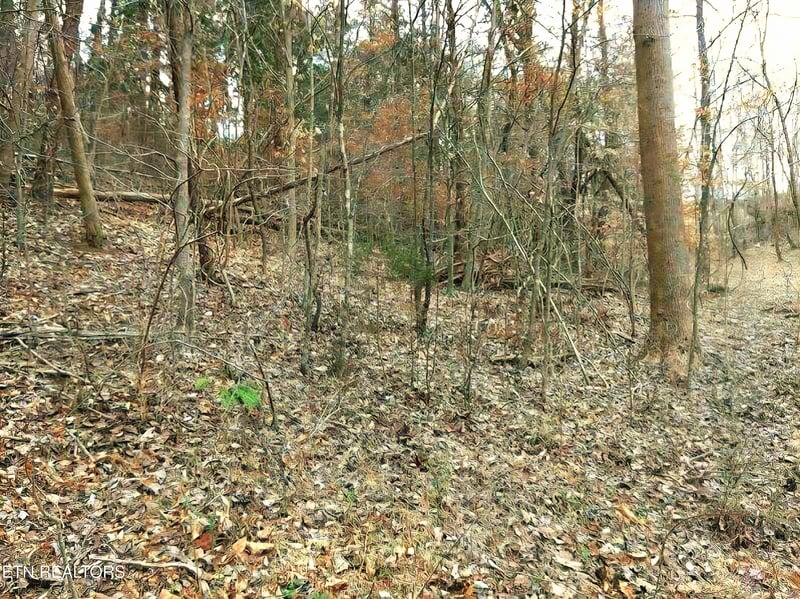 Lot 17 Scott St, Sevierville, TN 37876