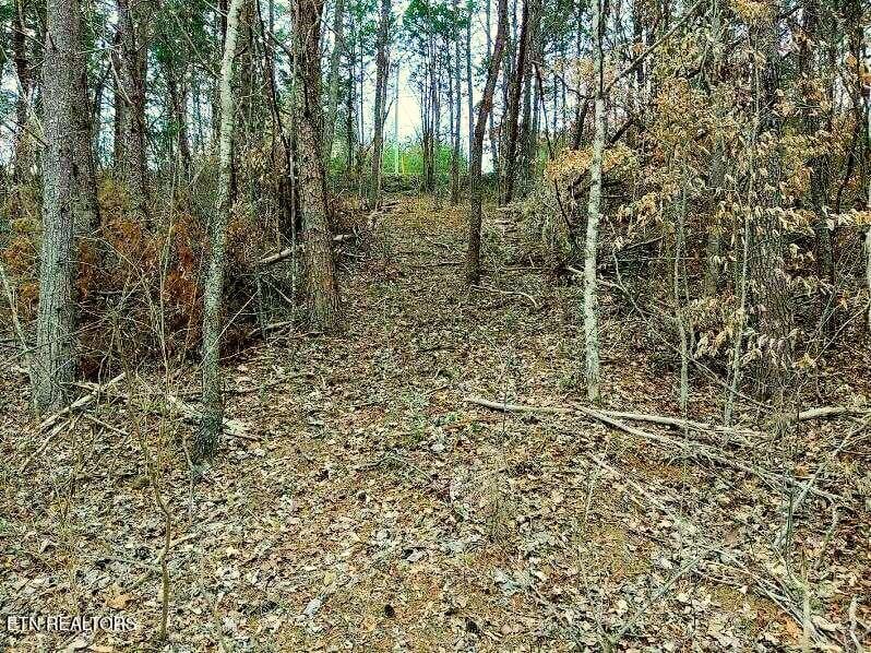 Lot 17 Scott St, Sevierville, TN 37876