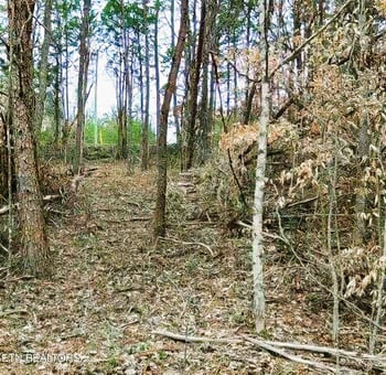 Lot 17 Scott St, Sevierville, TN 37876