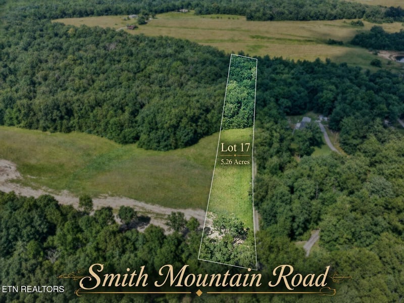 Lot 17 Smith Mountain Rd, Rockwood, TN 37854