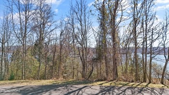 Lot 170 E Shore Dr, Rockwood, TN 37854
