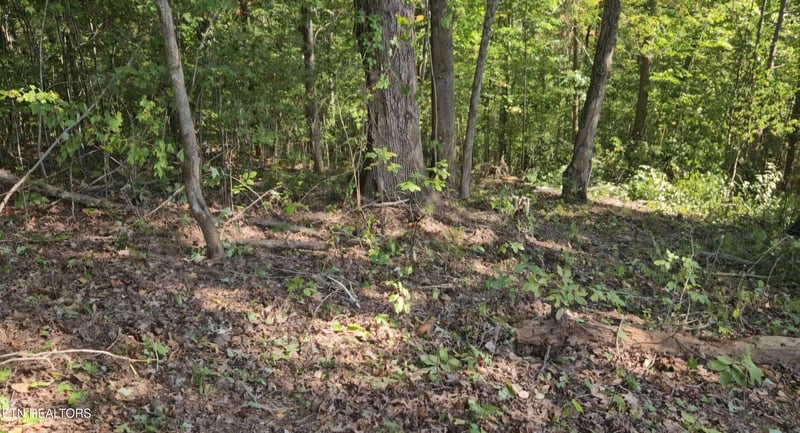Lot 172 Saddleridge Dr, Speedwell, TN 37870