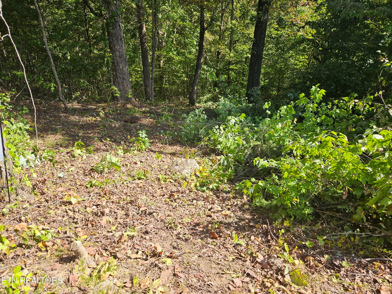 Lot 173 Saddleridge Dr, Speedwell, TN 37870