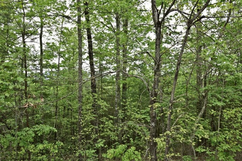 Lot 17e Stackstone Rd, Sevierville, TN 37862