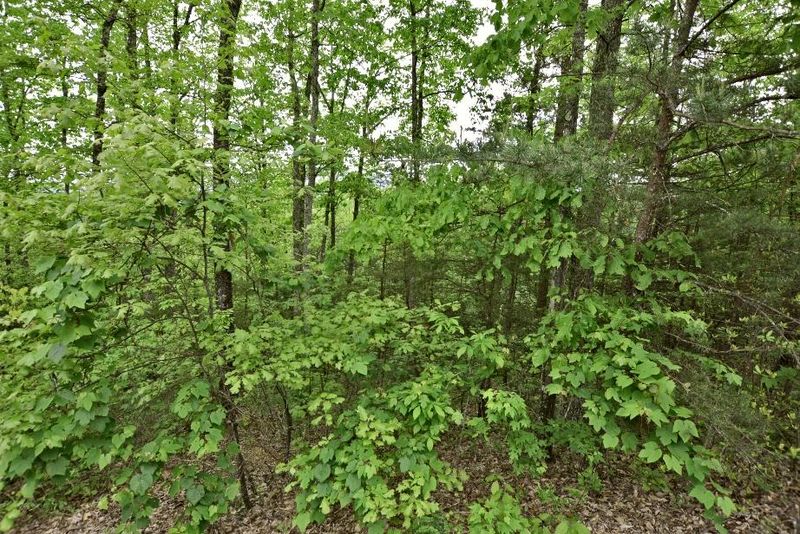 Lot 17e Stackstone Rd, Sevierville, TN 37862